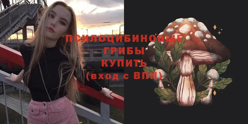 Псилоцибиновые грибы Magic Shrooms  omg онион  Верхний Уфалей 